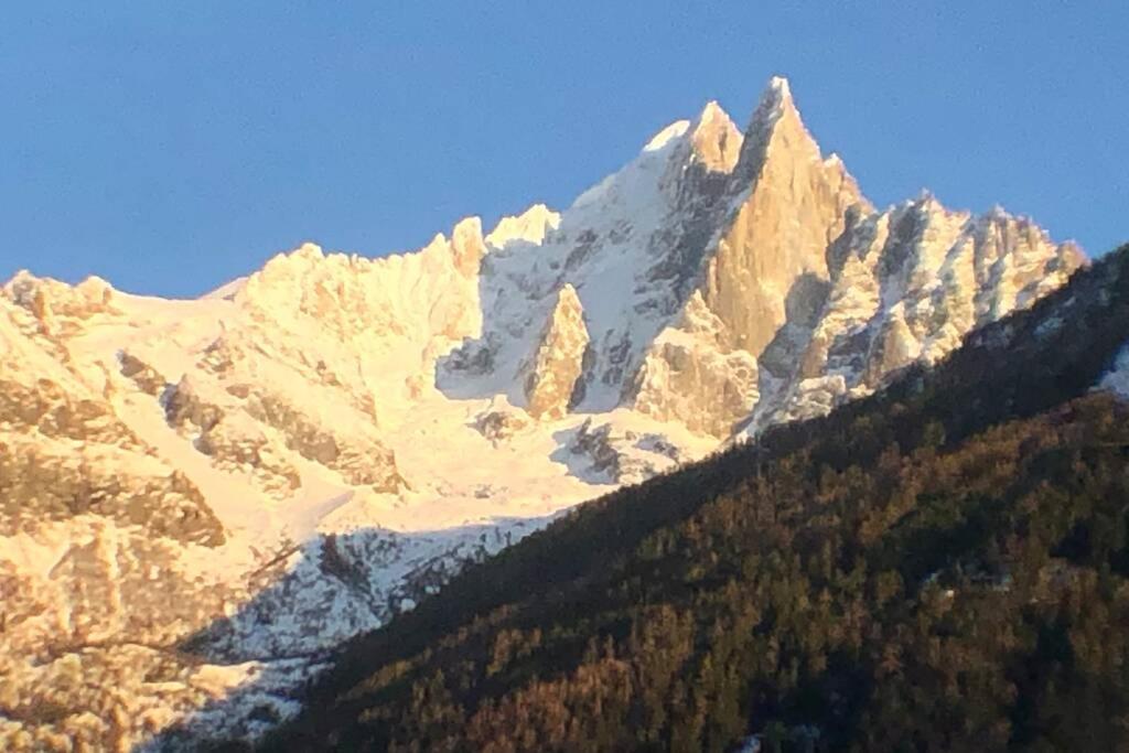Chic Appart 6 Pers Dans Residence Luxueuse "La Cordee" Wellness Gym Piscine Ouvert Et Teletravail Chamonix Zewnętrze zdjęcie